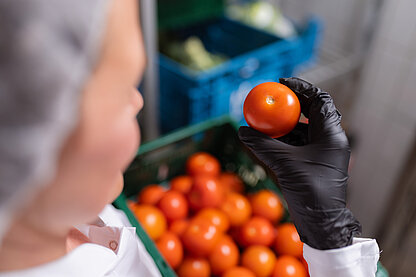 Eine Dame von der Lebensmittelkontrolle, die einen Korb voller Tomaten in der einen Hand hält. In der anderen kontrolliert sie eine Tomate genauer.