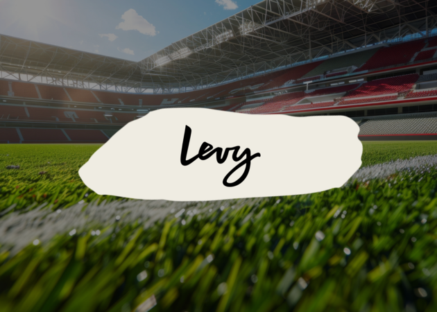 Levy Ein Stadion, das vom Rasen aus fotografiert wurde. Im Hintergrund ist die Tribühne mit den Sitzplätzen zu sehen.