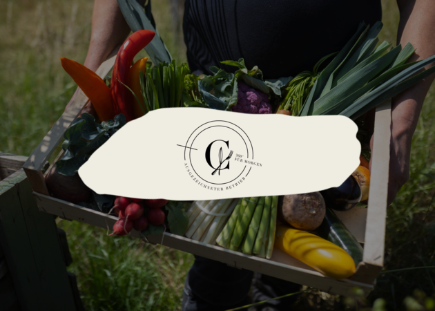 Eine Kiste voller buntem Gemüse, die von einem Landwirt gehalten wird. Davor ist das Logo von 360 Grad für Morgen zu sehen.